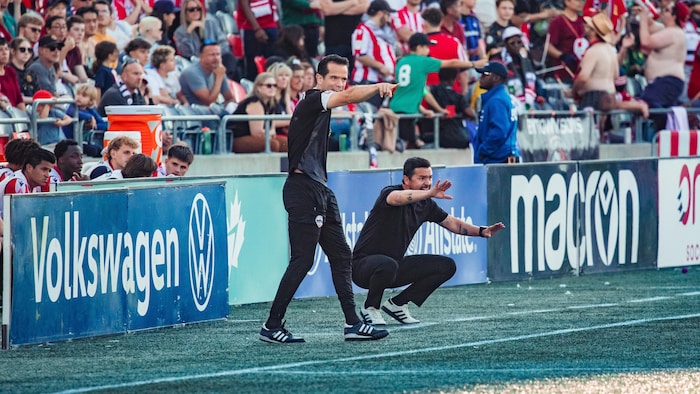 Deux entraîneurs de shot    gesticulent en absorption  de leurs joueurs pendant une partie professionnelle.