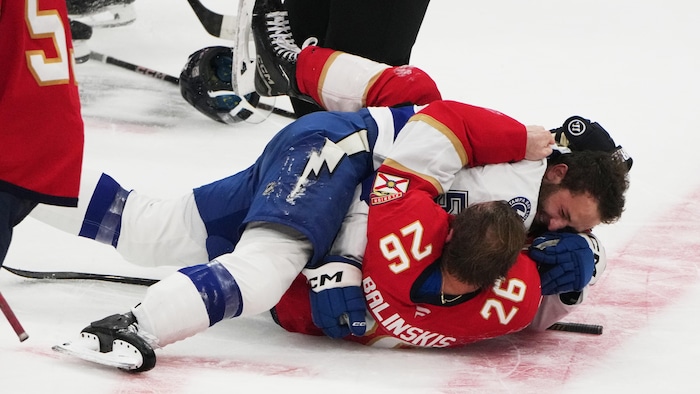 Violence in NHL playoffs: fans, educators question sport's culture of intimidation — image 5