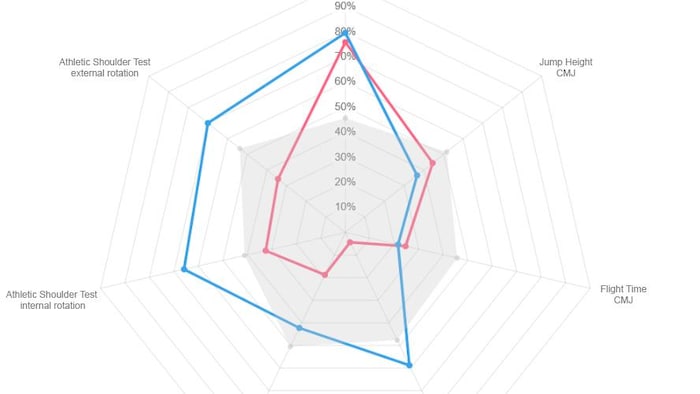 Example of a player profile generated by data obtained during physical tests.