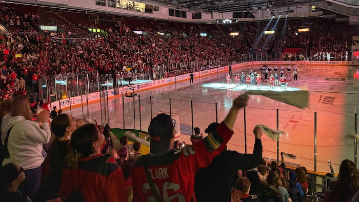 Tout ce qu’il faut savoir sur la nouvelle saison de la LPHF | Radio-Canada