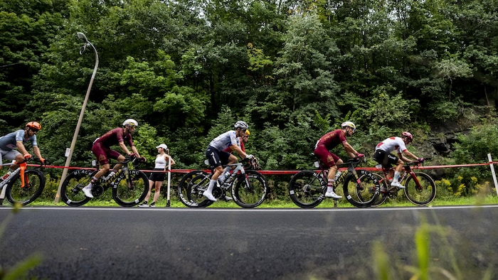 Des cyclistes grimpent le mont Royal.