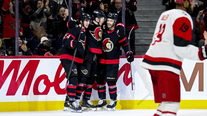 Des hockeyeurs célèbrent un but.