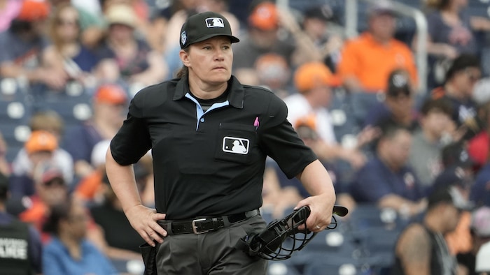 Masque de baseball pour arbitre - Réglable - Léger et