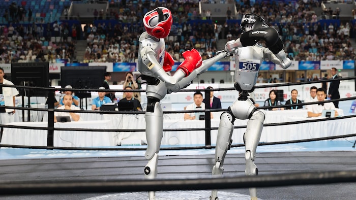 Des robots se battent. 