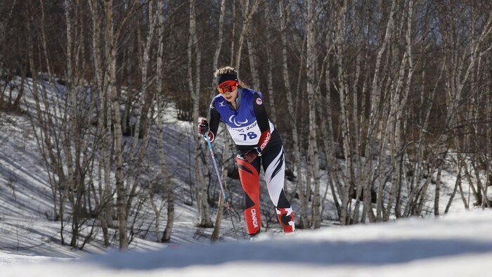 Une skieuse de fond longe une rangée d'arbres sur la piste paralympique.