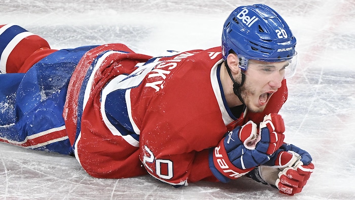 Violence in NHL playoffs: fans, educators question sport's culture of intimidation — image 3