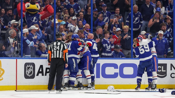 Violence in NHL playoffs: fans, educators question sport's culture of intimidation — image 4