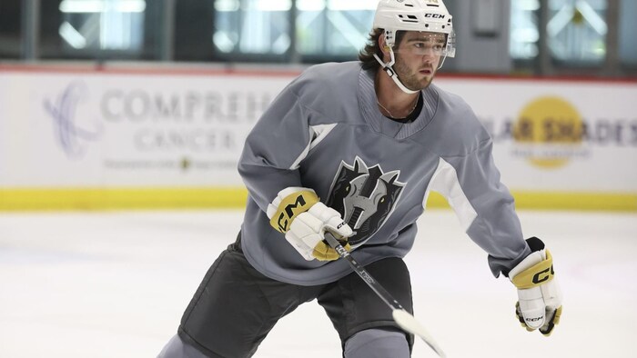 Joueur de hockey patinant sur le glace.