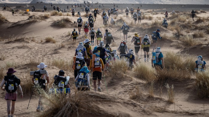 De nombreux coureurs dans le désert.