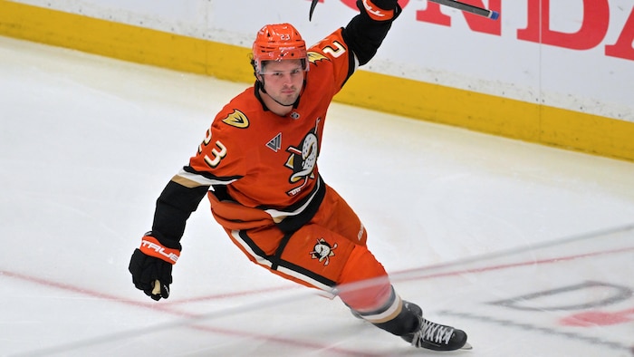 Un hockeyeur célèbre un but.