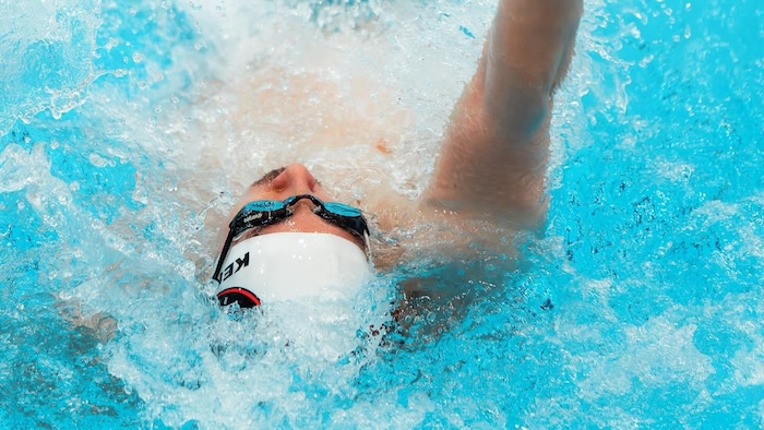 Nageur sur le dos, en action, dans la piscine.