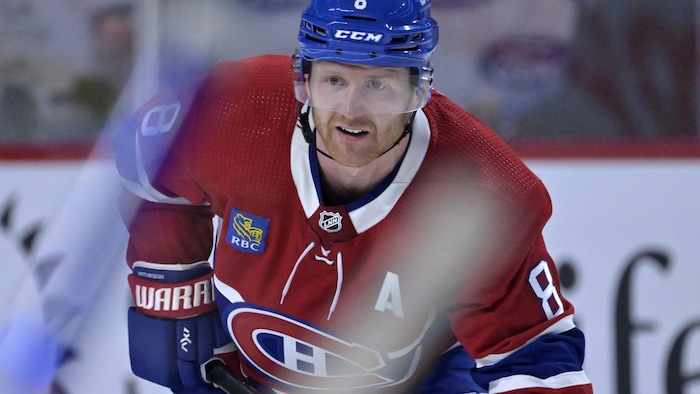 Il est penché vers l'avant sur la glace.