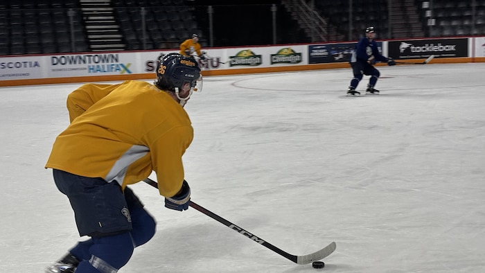 Joueur de hockey maniant la rondelle.