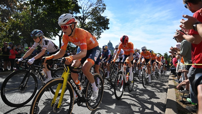 Un peloton de cyclistes.