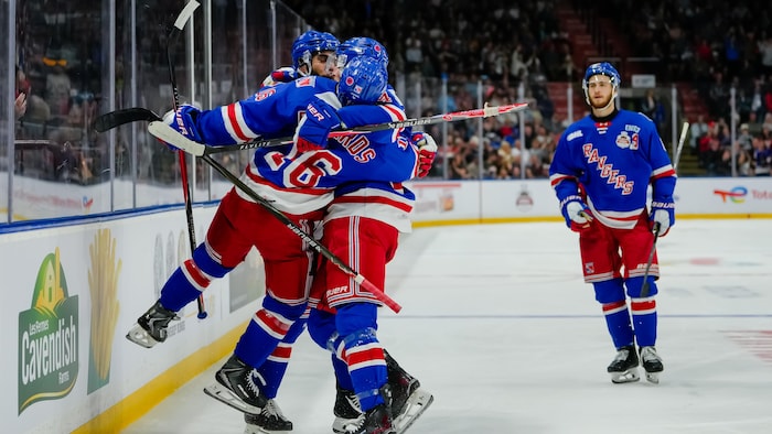 Des hockeyeurs célèbrent un but.