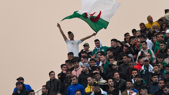 Veste de course de drapeau d'Algérie
