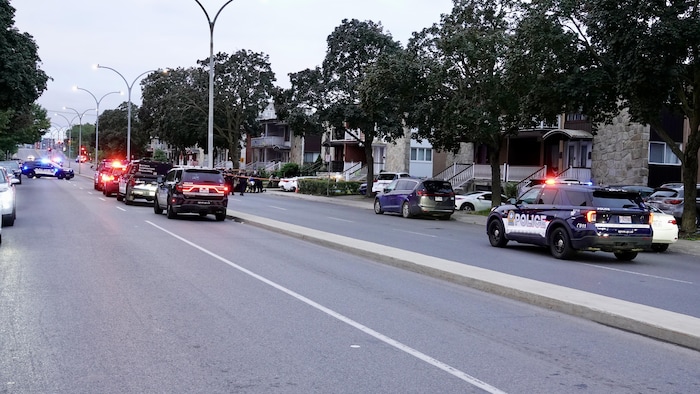 Des voitures de police bloquent le boulevard Viau dans les deux directions pendant une opération policière.