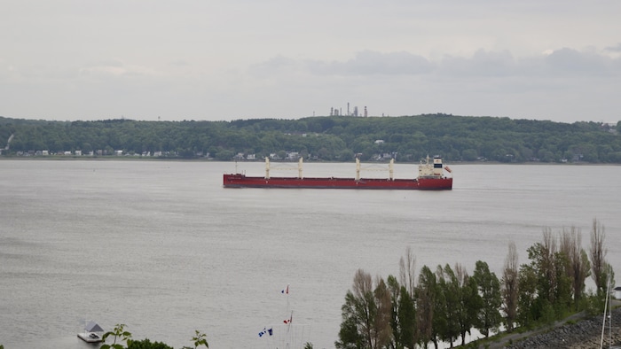 Vue d'un grand cargo rouge, naviguant sur les eaux grises d'un fleuve large sous un ciel couvert. En arrière-plan, une bande de forêt dense couvre des collines, et à l'horizon, on aperçoit des cheminées industrielles. Au premier plan, sur la droite, une rangée d'arbres fins borde la rive, et un mât de voilier est visible près du bas de l'image.
