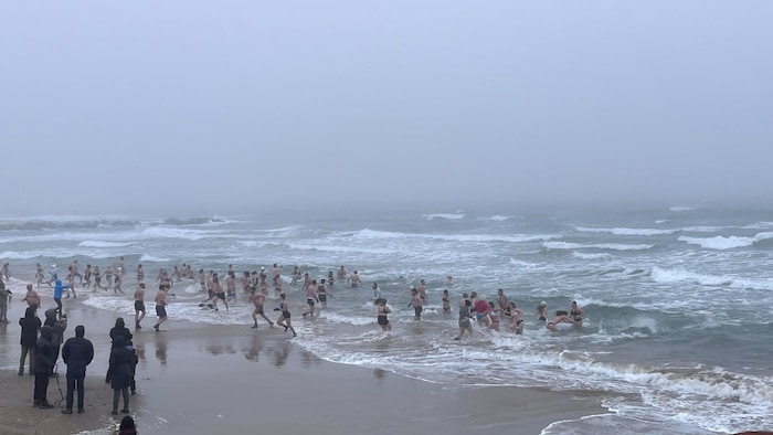 Des gens se baignent sur une plage.