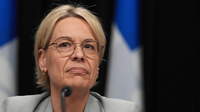 Mme Roy en conférence de presse.