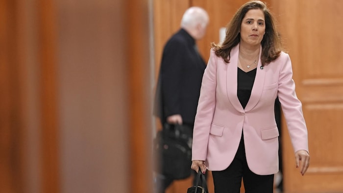 Pascale Déry, à l'Assemblée nationale, en mai 2026.