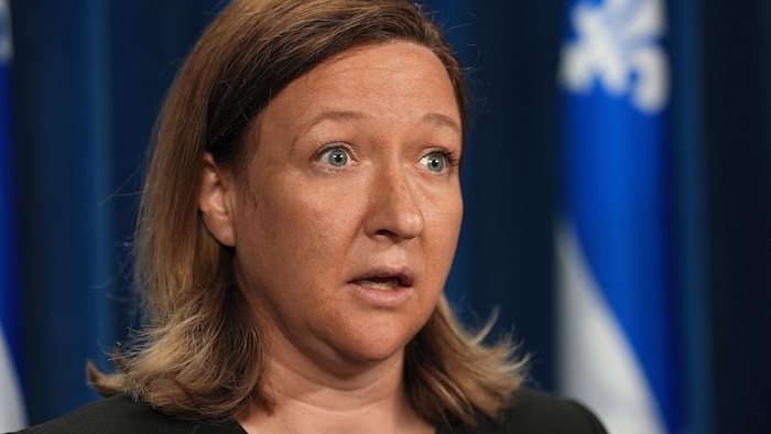La députée conservatrice de Rimouski, Maïté Blanchette-Vézina, jeudi dernier à l'Assemblée nationale.