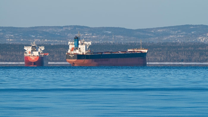 Des vraquiers dans une baie.