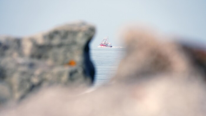 Un crabier arrive au port de Rimouski.