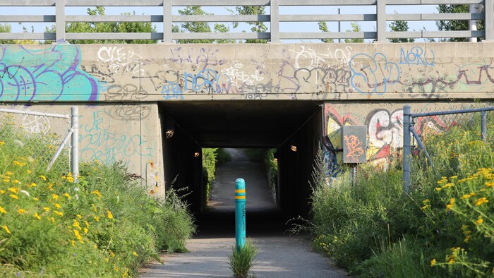 Un tunnel sous une autoroute.
