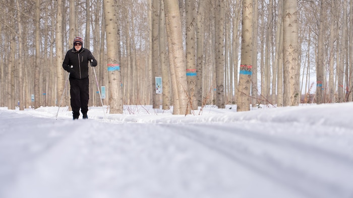 Un fondeur dans une forêt de feuillus en hiver.