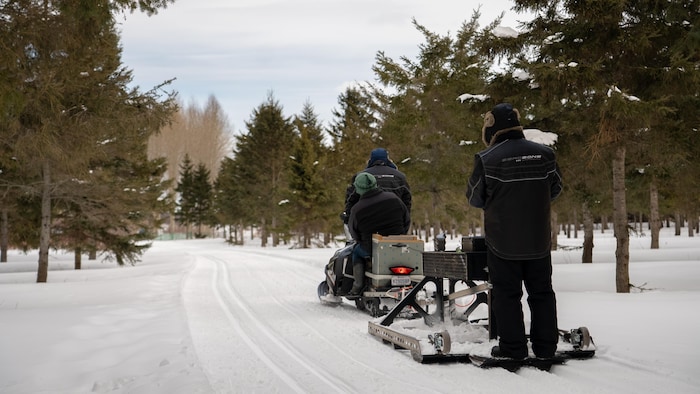 Trois personnes sur une motoneige tracent des pistes entre les arbres.