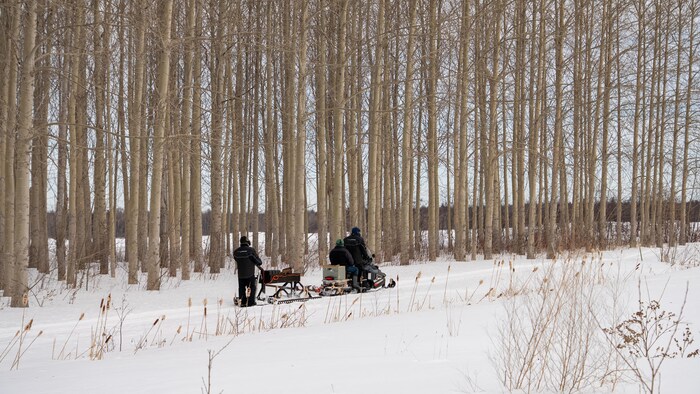 Trois hommes traversent une plantation de feuillus enneigés à bord d'une motoneige tirant un dispositif de traçage sur des patins.