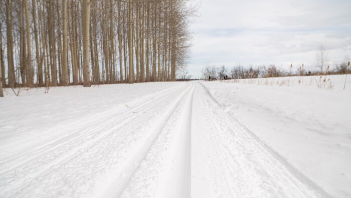 Une piste de ski de fond traverse un terrain plat bordé d'arbres.
