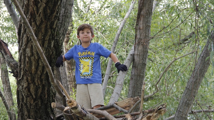 Un enfant dans les arbres.
