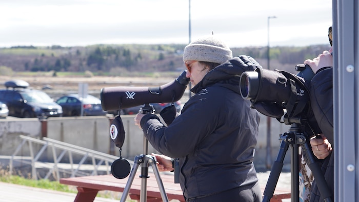 Une personne regarde dans une lunette d'observation.
