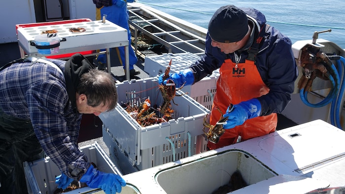 Des pêcheurs sur un bateau.