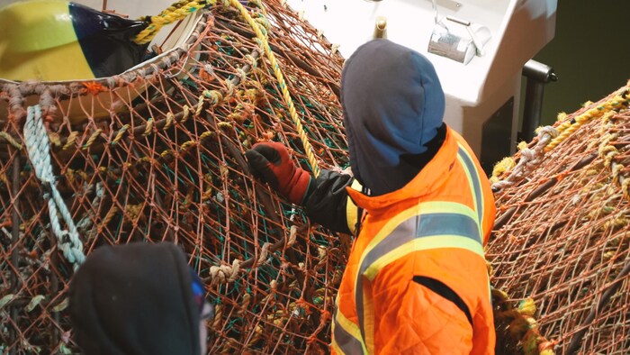 Snow crab fishing glacial output star-news.press/wp A fisherman handles networks.