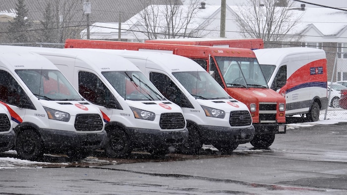 Des fourgonnettes de Postes Canada dans un stationnement. 