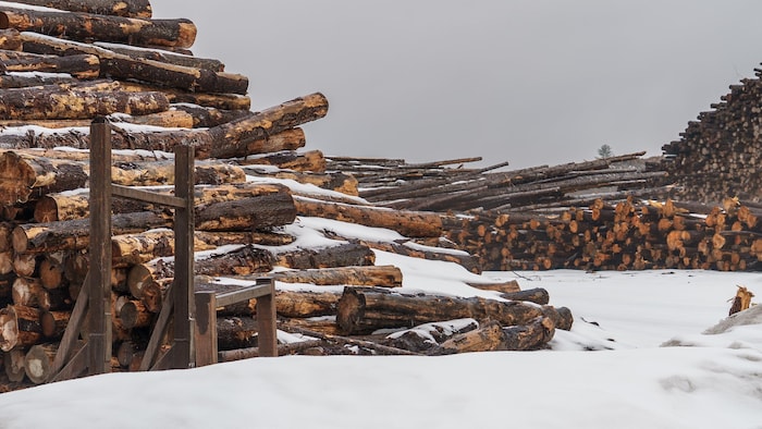 Des morceaux de bois et des billots, l’hiver.