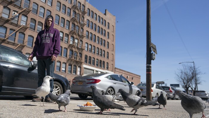 Anthony Vasquez dans une rue avec, à l'avant-plan, des pigeons.