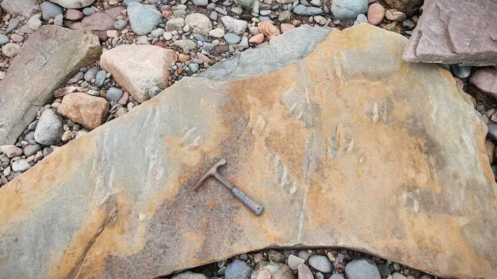 Une roche avec des empreintes et un marteau sont posés dessus.