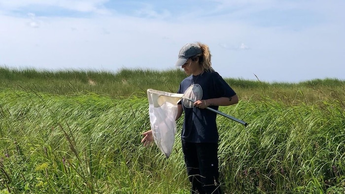 Rachelle Gagnon, debout dans les herbes hautes, tient un grand filet.