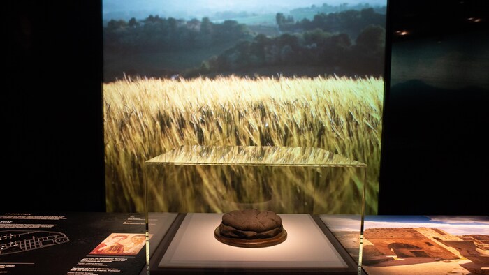 Un pain pétrifié en exposition.