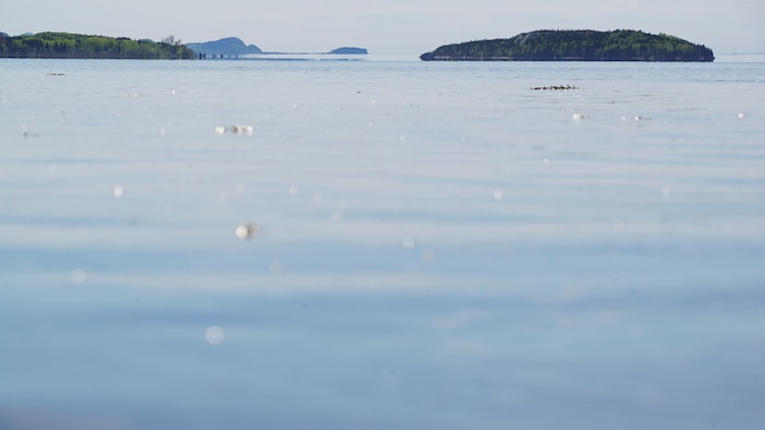 L'estuaire du fleuve Saint-Laurent, avec au large les îles du Bic.