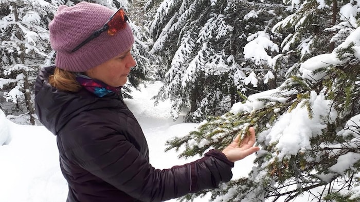 Dehors, elle tient une branche se sapin enneigée dans sa main