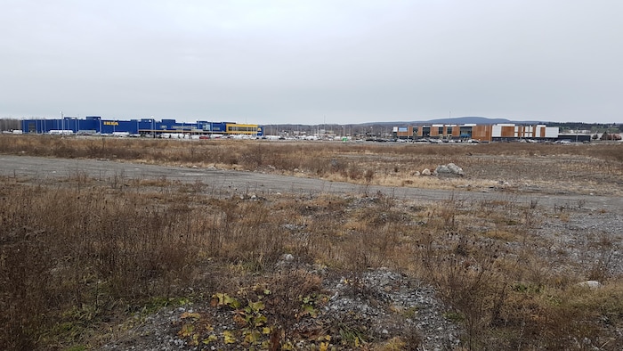 Un champs près du Ikea