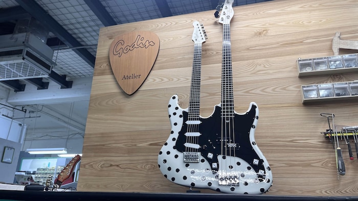 Une guitare blanche à pois noirs, à deux manches.