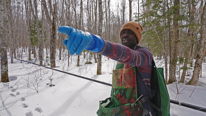Hardy Luyeye dans une érablière avec des tubulures. 