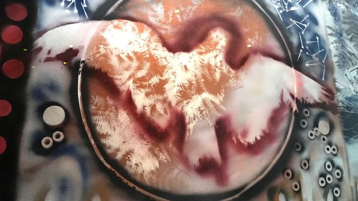 La forme d'une oie dans un cercle, créée avec une bombe aérosol. 