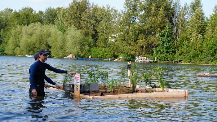 The happy tinkerers offer the Silver Lake its artificial floating island